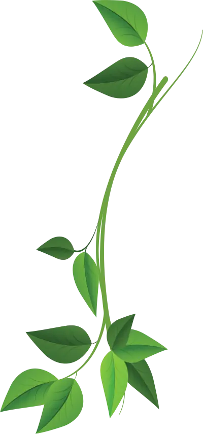 Leafs - Green House Systems