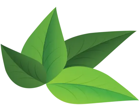 Leafs - Green House Systems